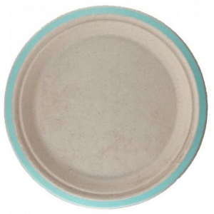 Biodegradable Lunch Plate | Mint | 10 Pack