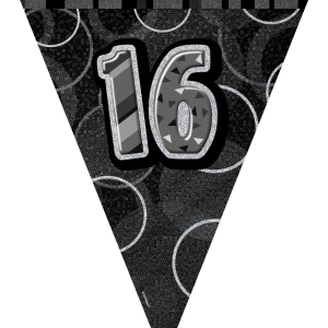 black silver 16th bunting